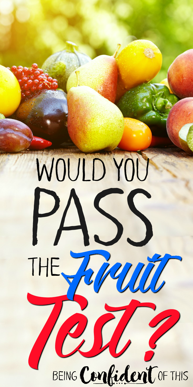 Do you want to know if you are walking with the Lord? Examine your fruit!  Do they pass the test? Or are you striving to produce fruit all on your own that just aren't quite holding up? spiritual fruit, the spiritual fruit test, christian living, produce spiritual fruit, abiding in the Vine, walking with the Lord