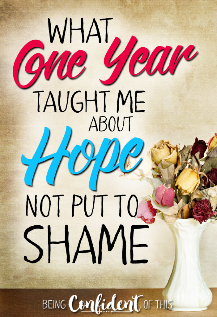 What 1 year taught be about a hope that is not put to shame! #hope #noshame #Christianwomen #book resources for Christians | godly women | Bible study | devotional | marriage book | unashamed | insecurity | how to have hope | trusting God | discipleship | spiritual growth | growing in Christ | giveaway | anniversary