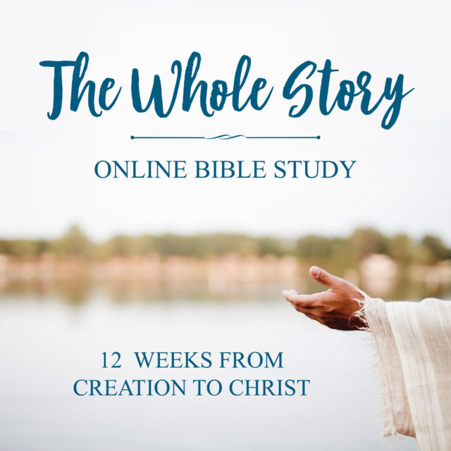 Join our first ever ONLINE Bible study group! The Whole Story is a 12 week look at the message of the Bible, beginning at creation and ending after Christ. This group is perfect for both Bible study beginners and seasoned students of the Word. #biblestudy #onlinebiblestudy #free #big picture Being Confident of This | The Stranger on the Road to Emmaus | studying the Bible chronologically | Bible study method | How to study the Bible | The best way to study the Bible | creation to Christ | the big picture of God's Word | how to study the Bible